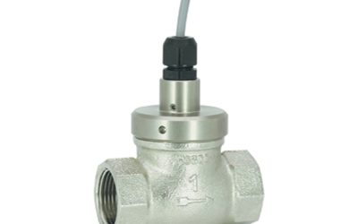 Flow Switch