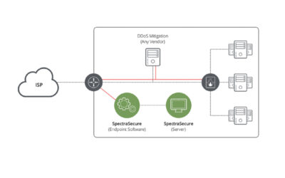 Verifying Resilience to DDoS Attacks