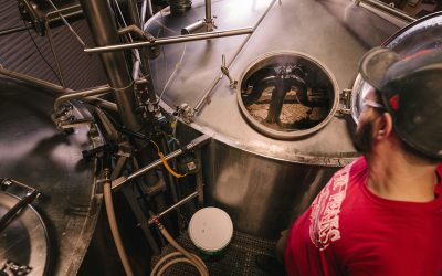 Enhancing Beer Brewing Precision