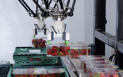 Cobot Safety Strategies