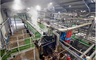 Steam – An Enduring and Effective Heat Transfer Mechanism With Myriad Applications