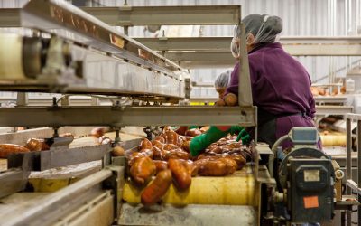 Thermal Profiling in Food Processing