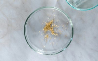Powering Hygiene and Precision in Culinary Labs
