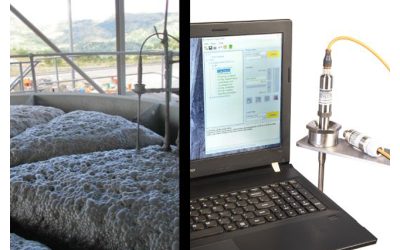 Accurate Pulp Level Measurement in Flotation and Slurry Application